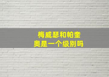 梅威瑟和帕奎奥是一个级别吗