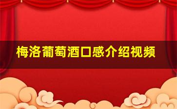 梅洛葡萄酒口感介绍视频