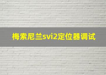 梅索尼兰svi2定位器调试