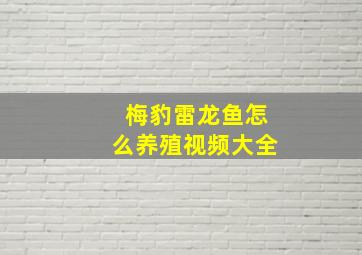 梅豹雷龙鱼怎么养殖视频大全