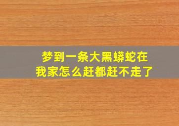 梦到一条大黑蟒蛇在我家怎么赶都赶不走了