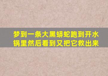 梦到一条大黑蟒蛇跑到开水锅里然后看到又把它救出来