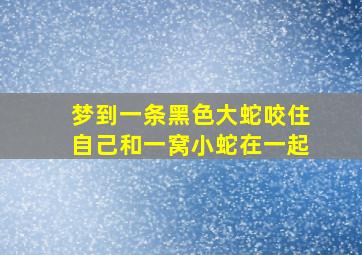 梦到一条黑色大蛇咬住自己和一窝小蛇在一起