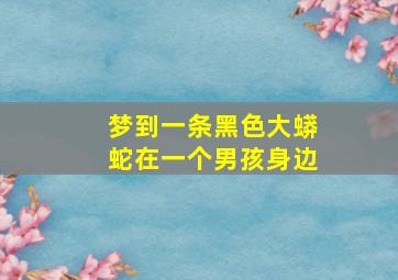 梦到一条黑色大蟒蛇在一个男孩身边