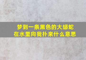 梦到一条黑色的大蟒蛇在水里向我扑来什么意思