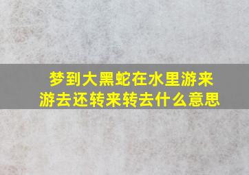 梦到大黑蛇在水里游来游去还转来转去什么意思