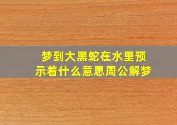 梦到大黑蛇在水里预示着什么意思周公解梦