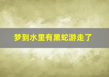 梦到水里有黑蛇游走了