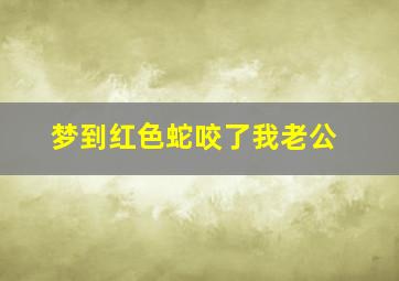 梦到红色蛇咬了我老公