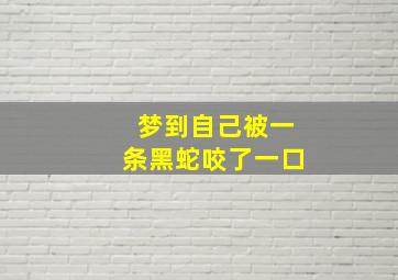 梦到自己被一条黑蛇咬了一口