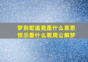 梦到蛇追我是什么意思预示着什么呢周公解梦