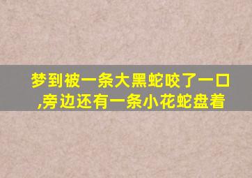 梦到被一条大黑蛇咬了一口,旁边还有一条小花蛇盘着