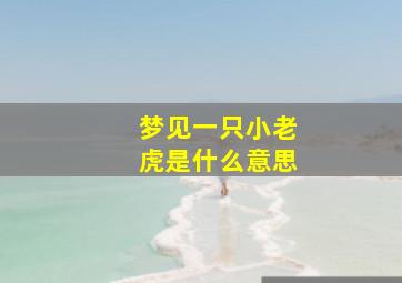 梦见一只小老虎是什么意思