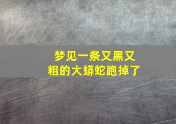 梦见一条又黑又粗的大蟒蛇跑掉了