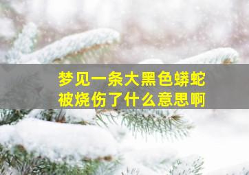 梦见一条大黑色蟒蛇被烧伤了什么意思啊