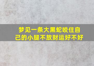 梦见一条大黑蛇咬住自己的小腿不放财运好不好