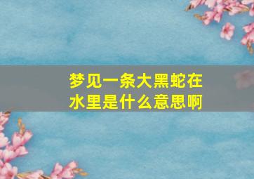 梦见一条大黑蛇在水里是什么意思啊