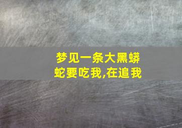 梦见一条大黑蟒蛇要吃我,在追我