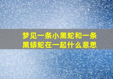 梦见一条小黑蛇和一条黑蟒蛇在一起什么意思