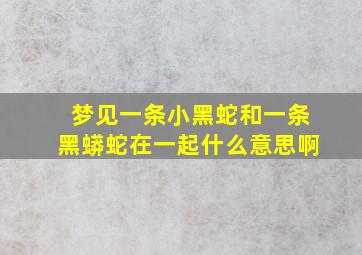 梦见一条小黑蛇和一条黑蟒蛇在一起什么意思啊