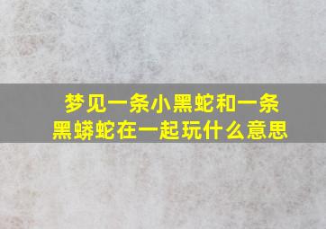 梦见一条小黑蛇和一条黑蟒蛇在一起玩什么意思