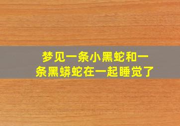 梦见一条小黑蛇和一条黑蟒蛇在一起睡觉了