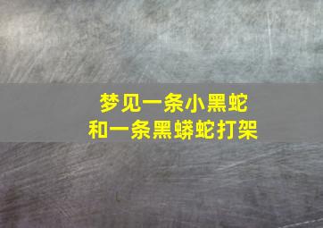 梦见一条小黑蛇和一条黑蟒蛇打架