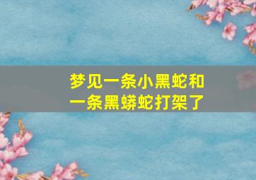 梦见一条小黑蛇和一条黑蟒蛇打架了