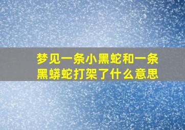 梦见一条小黑蛇和一条黑蟒蛇打架了什么意思