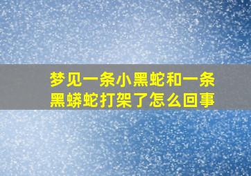 梦见一条小黑蛇和一条黑蟒蛇打架了怎么回事