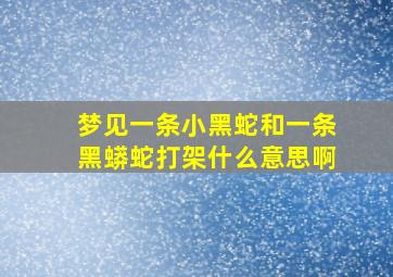 梦见一条小黑蛇和一条黑蟒蛇打架什么意思啊