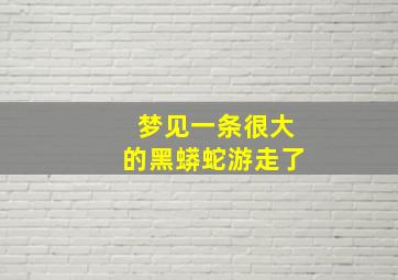 梦见一条很大的黑蟒蛇游走了