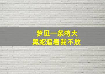 梦见一条特大黑蛇追着我不放