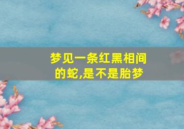 梦见一条红黑相间的蛇,是不是胎梦