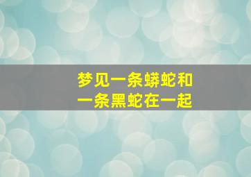 梦见一条蟒蛇和一条黑蛇在一起