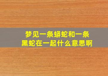 梦见一条蟒蛇和一条黑蛇在一起什么意思啊