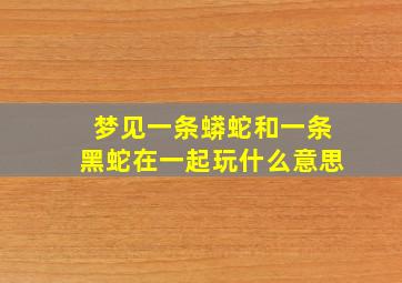 梦见一条蟒蛇和一条黑蛇在一起玩什么意思