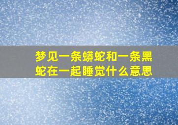 梦见一条蟒蛇和一条黑蛇在一起睡觉什么意思