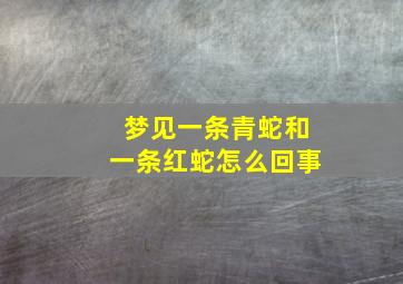 梦见一条青蛇和一条红蛇怎么回事