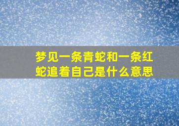 梦见一条青蛇和一条红蛇追着自己是什么意思