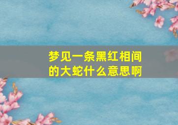 梦见一条黑红相间的大蛇什么意思啊