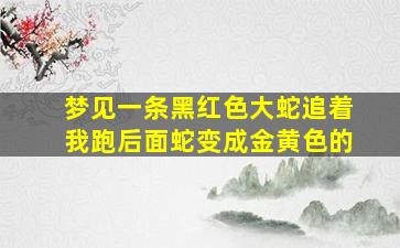 梦见一条黑红色大蛇追着我跑后面蛇变成金黄色的