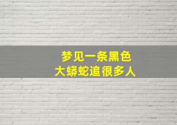 梦见一条黑色大蟒蛇追很多人