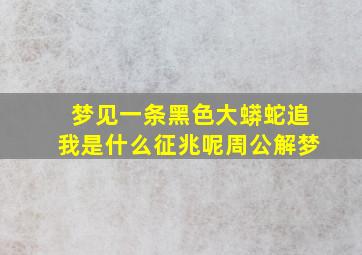 梦见一条黑色大蟒蛇追我是什么征兆呢周公解梦