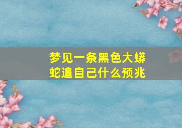 梦见一条黑色大蟒蛇追自己什么预兆