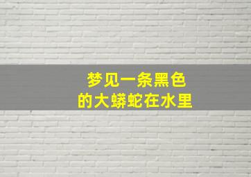 梦见一条黑色的大蟒蛇在水里