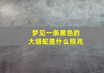 梦见一条黑色的大蟒蛇是什么预兆