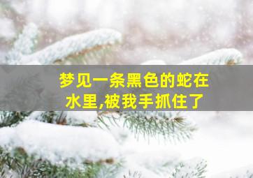 梦见一条黑色的蛇在水里,被我手抓住了