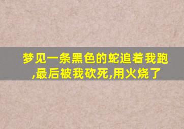 梦见一条黑色的蛇追着我跑,最后被我砍死,用火烧了