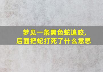 梦见一条黑色蛇追咬,后面把蛇打死了什么意思